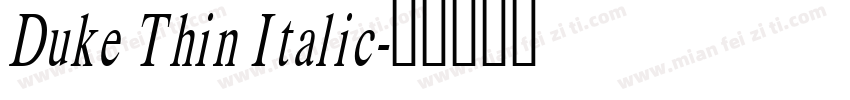 Duke Thin Italic字体转换